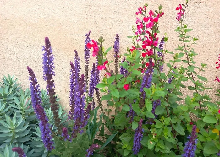 Le Clos D'ondres-spa *