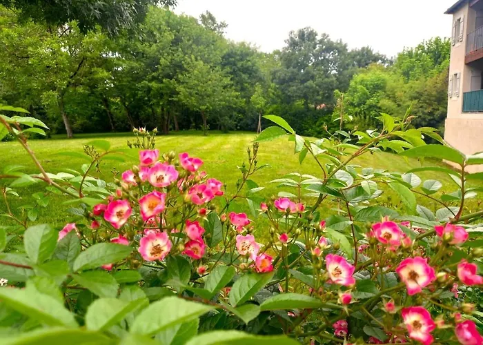 Villa Le Clos D'ondres-spa *