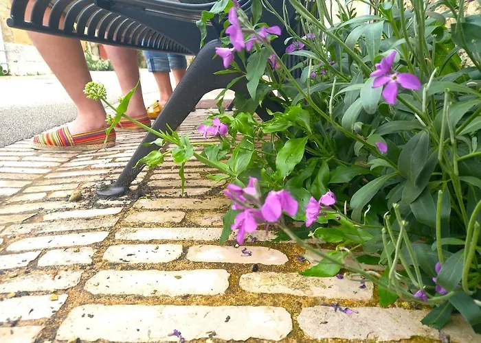 Le Clos D'ondres-spa Villa