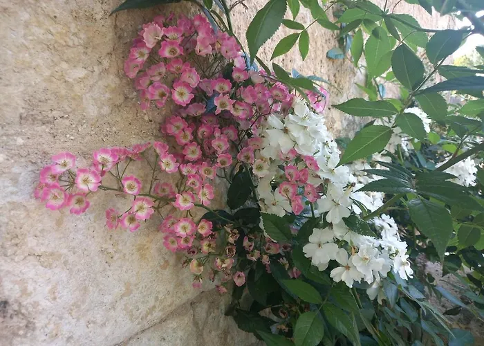 Villa Le Clos D'ondres-spa Sarrant