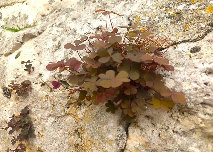 Le Clos D'ondres-spa *