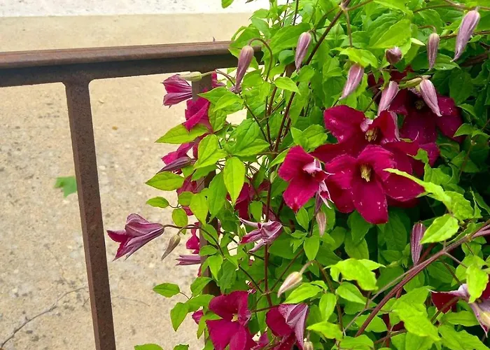 Le Clos D'ondres-spa Villa