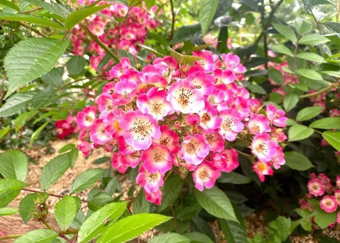 Le Clos D'ondres-spa Sarrant