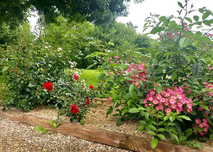 Le Clos D'ondres-spa Villa