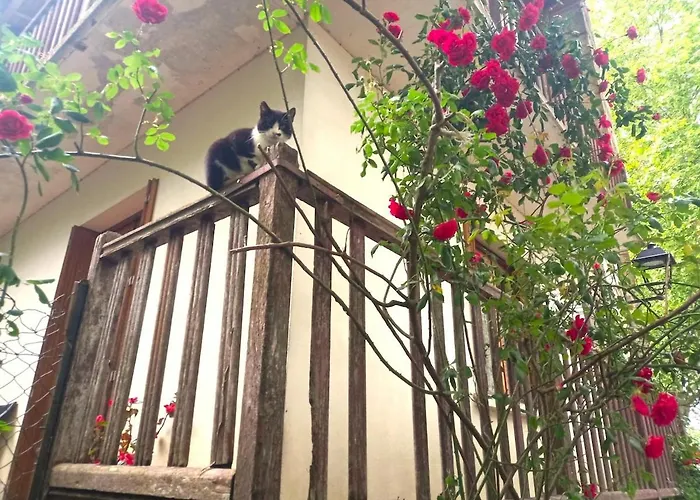 Le Clos D'ondres-spa Villa Sarrant