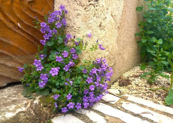 Le Clos D'ondres-spa *