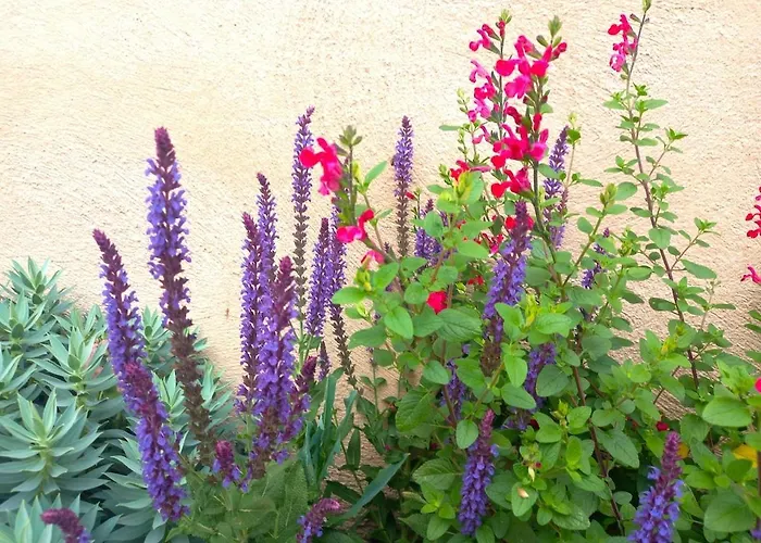 Villa Le Clos D'ondres-spa