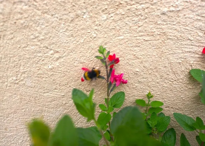 Le Clos D'ondres-spa