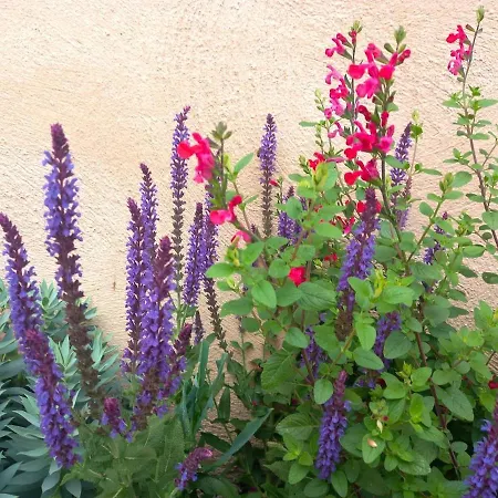 Le Clos D'ondres-spa *