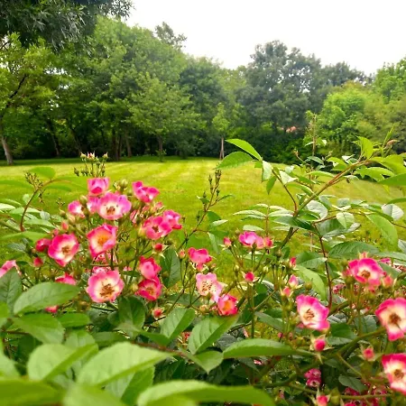 Villa Le Clos D'ondres-spa *