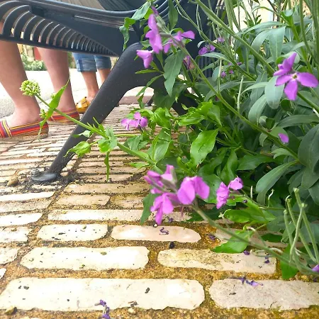 Le Clos D'ondres-spa Villa