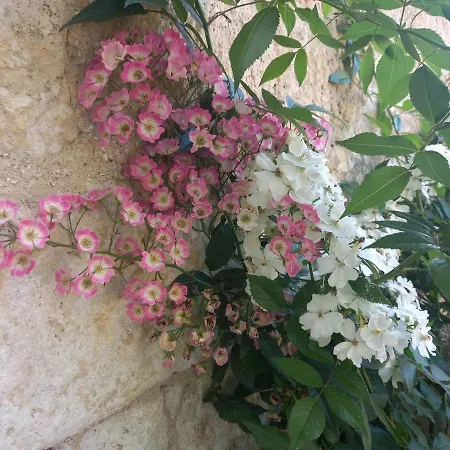 Villa Le Clos D'ondres-spa Sarrant