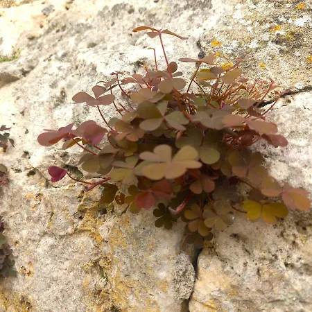 Le Clos D'ondres-spa *