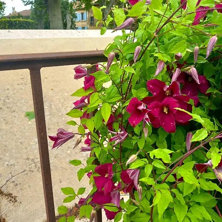 Le Clos D'ondres-spa Villa