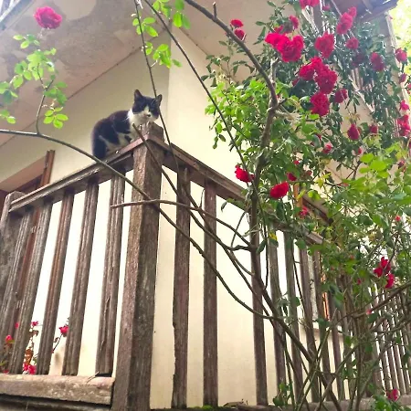 Le Clos D'ondres-spa Villa Sarrant