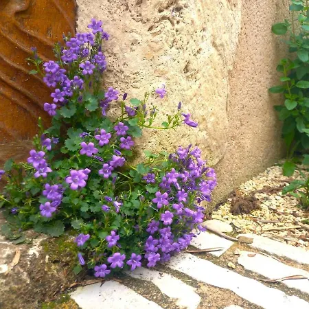 Le Clos D'ondres-spa *