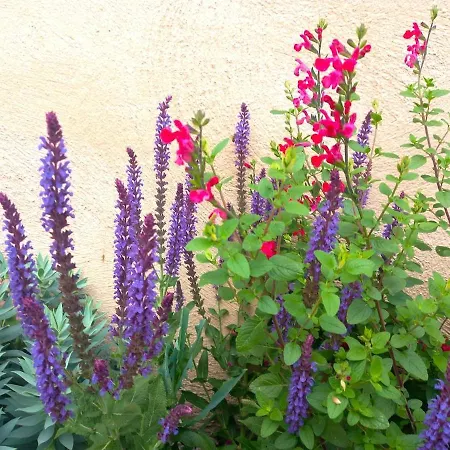 Villa Le Clos D'ondres-spa